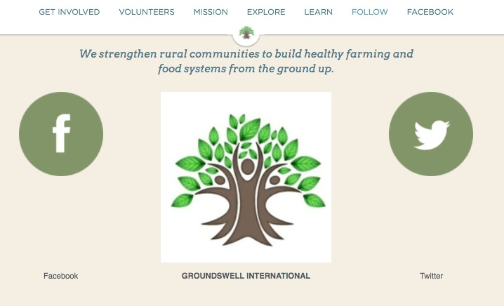 在居住的地方種植植物的網站 在居住的地方種植植物的網站